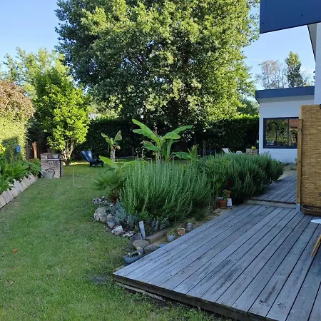 Papyrus * Sainte-Eulalie-en-Born