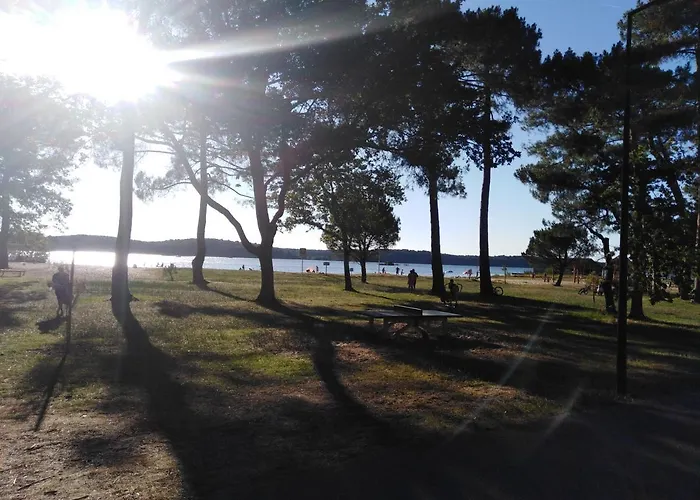 Апартаменты Papyrus *