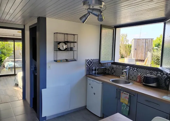 Papyrus Sainte-Eulalie-en-Born