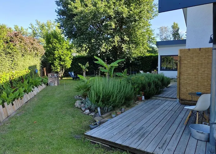 Papyrus * Sainte-Eulalie-en-Born